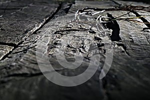 Old ruined wooden table