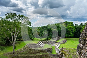 Old ruins from the buildings of the Mayan city of Altun Ha, Belize photo