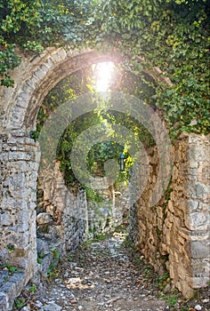 Old ruins covered in plants