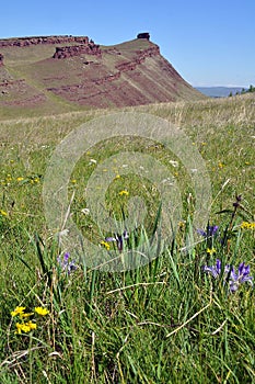 Old ruins Khakassia culture