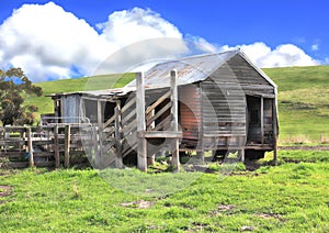 Old rundown shed and cattle yards