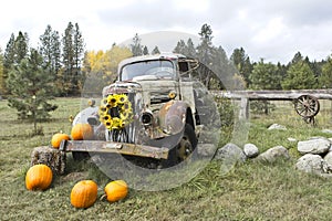 Old rundown truck and pumpkins