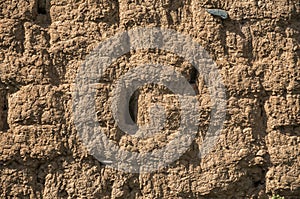 Old rural clay brick wall