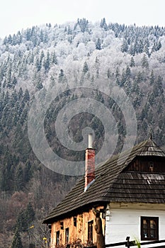 Old rural house against dense forest in Vlkolinec, Slovakia