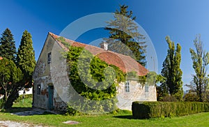 Old rural house overgrown with green ivy