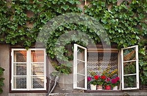 Old rural windows