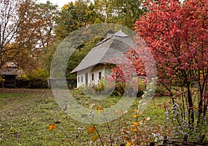 Old rural wooden house with thatched roof. Fall season. Close-up