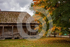 Old rural wooden house with thatched roof. Fall season. Close-up