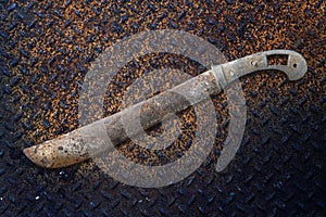 Old rusted house hand tool