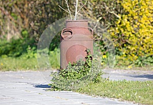 Old rusted milkcan used for decoration