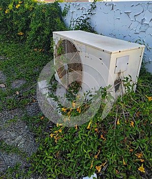 Old rusted outdoor split AC unit covered with tree brunches photo