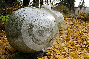 Old Rusted Propane Holding Tank