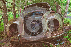 Old rusted scrap car in a forest photo