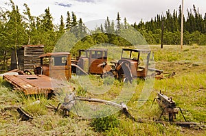 Old rusted trucks in bush