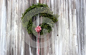 Old rustic barn wall with gray and white weathered wood and large holiday wreath festooned with pink bow