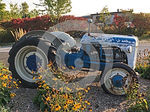 Old rustic blue tractor