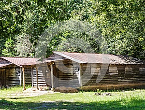 Old Cabins in Woods