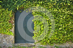 Old Rustic door