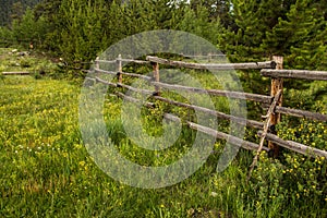 Old Rustic Fence and Wildflowers In Colorado