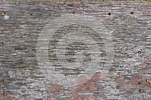 Old rustic gray wood surface background