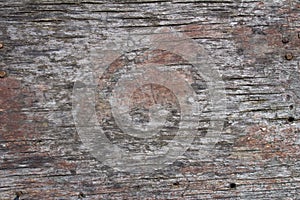 Old rustic gray wood surface background