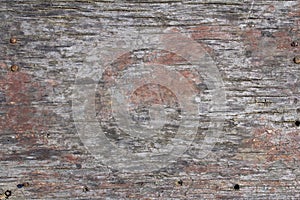 Old rustic gray wood surface background
