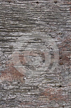 Old rustic gray wood surface background
