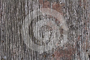 Old rustic gray wood surface background