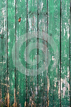 Old rustic green wood board texture