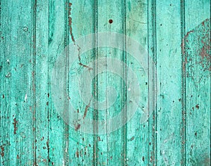 Old rustic painted cracky green (turqouise) wooden texture