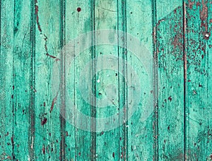 Old rustic painted cracky green (turqouise) wooden texture
