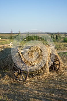 Old rustic retro wooden cart with hay in field