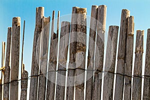 Old rustic weathered bamboo fence