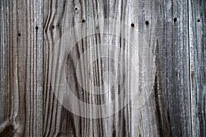 Old rustic weathered wood grain gray fence textured background