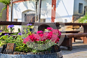 Old rustic wine barrel with flowers. Wine background in Europe. Czech Republic, South Moravia