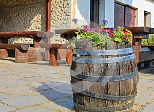 Old rustic wine barrel with flowers. Wine background in Europe. Czech Republic, South Moravia