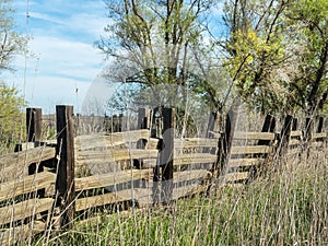 Old rustic wooden fence