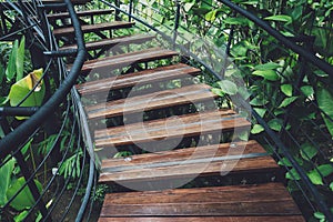 Old rustic wooden stairs in the garden