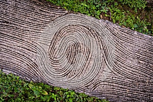 Old rustic wooden stairs in the garden