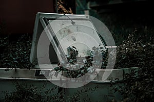 Old rusty abandoned washing machine. Plants grow from a washing machine