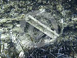 Old rusty anchor with broken line underwater