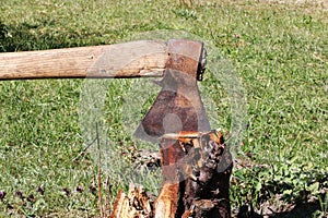 An old rusty ax sticks out of a stump.