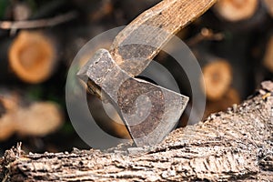 Old rusty ax with a wooden handle in a log