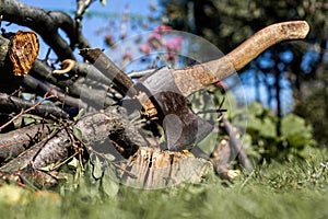 Old rusty axe with dry tree branches on the background