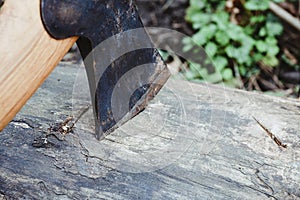 Old rusty axe on the textured wooded background