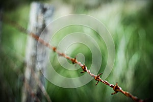 Old rusty barbed wire