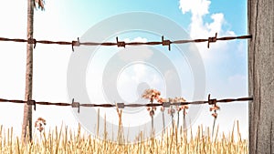 Old and rusty barbed wire 3D render