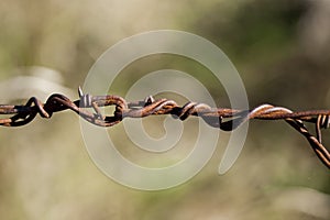 Old rusty barbed wire