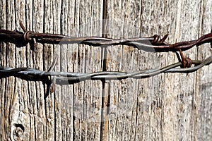 Old rusty barbed wire