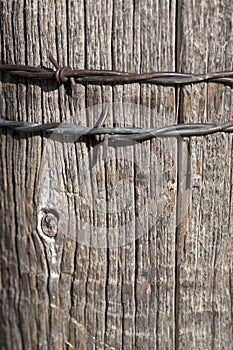 Old rusty barbed wire